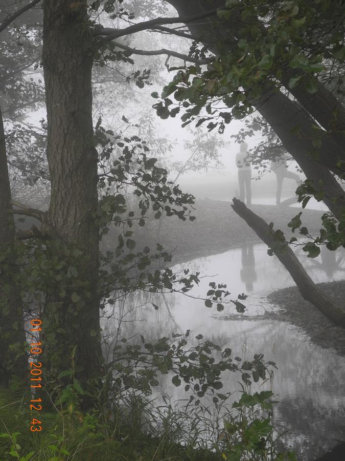 Villa Gina Österlen Sankt Olof Esterno foto